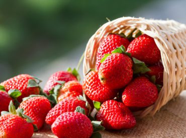 looking for something to do in stouffville this summer? visit the stouffville strawberry festival